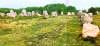 Carnac, alignements, steenrijen, van menhirs