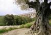 Pont-du-Gard, 4 km van Remoulins