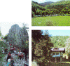 trentocamp.gif (106527 bytes)