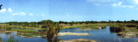 Donanapark bij Huelva