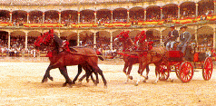 Arena in Ronda